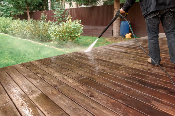 Best Solar Panel Cleaning  in Leo Cedarville, IN